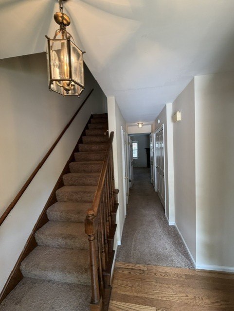 Gallery Photo 17